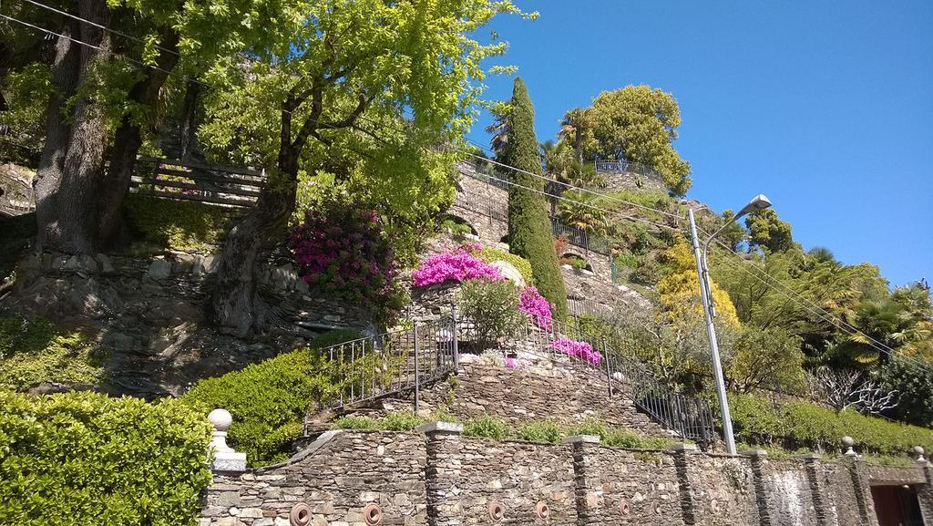 Residenza Silvana Apt A Cielo On The Ground Floor With Parking Βερμπάνια Εξωτερικό φωτογραφία